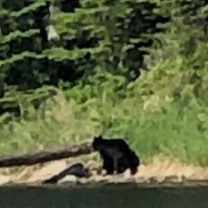 Meet your Posher, Jon